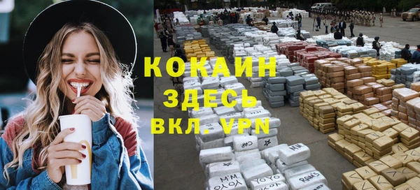 дживик Каменка