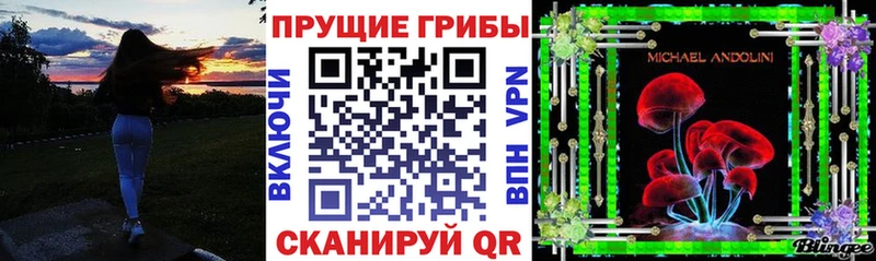 Купить закладки  Сосновый Бор  Псилоцибиновые грибы ЛСД 